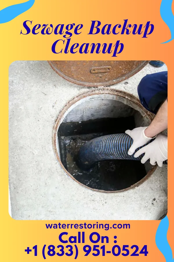 Sewage Backup Cleanup in Green Springs, OH