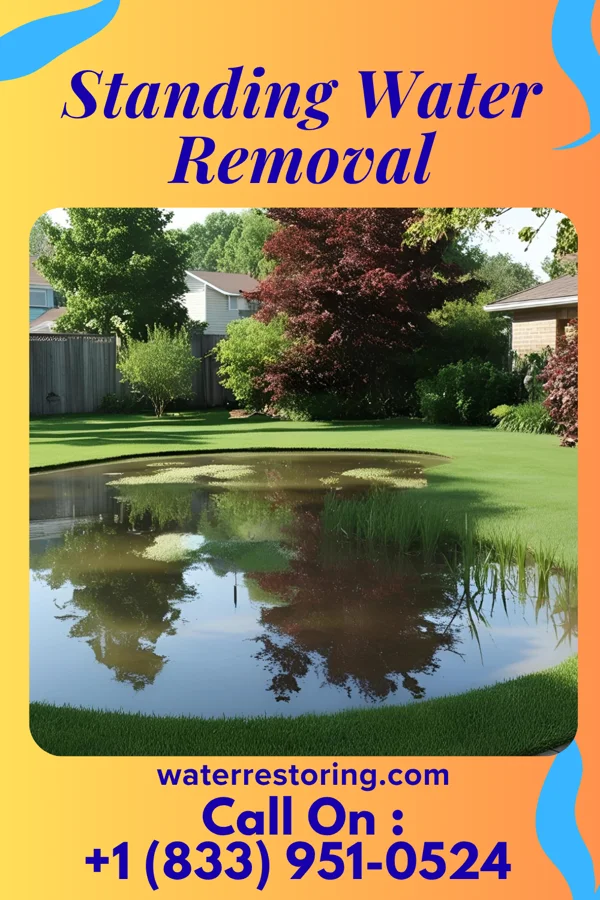 Standing Water Removal in Green Springs, OH